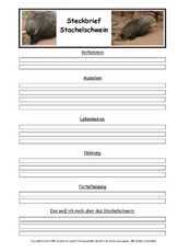 Stachelschwein-Steckbriefvorlage.pdf